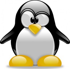 Ausschreibung Pinguin Cup 2025
